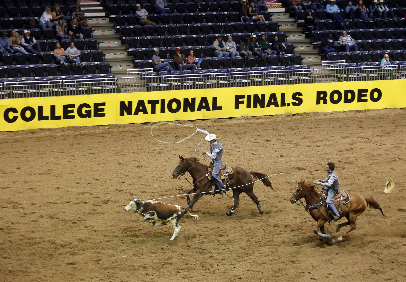 CNFR - Monday